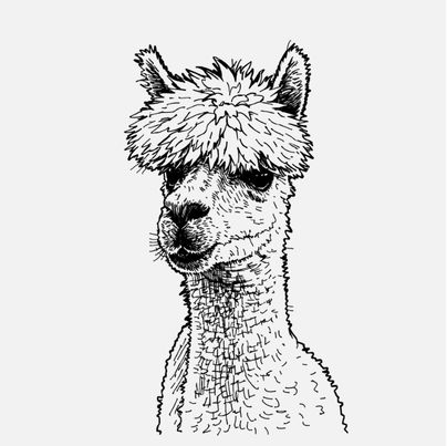 Creative programming